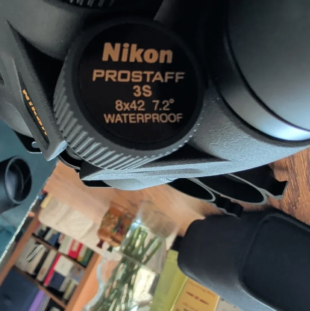 Nikon Prostaff 3S 8x42 Binoculars in Black with Case